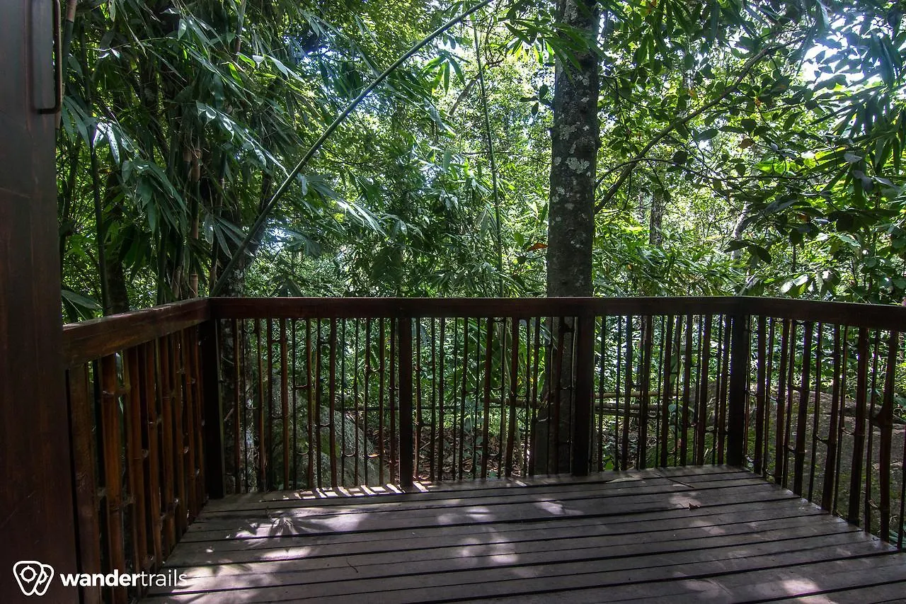 Resort Uravu Bamboo Grove A Wandertrails Showcase Hotel Kalpetta