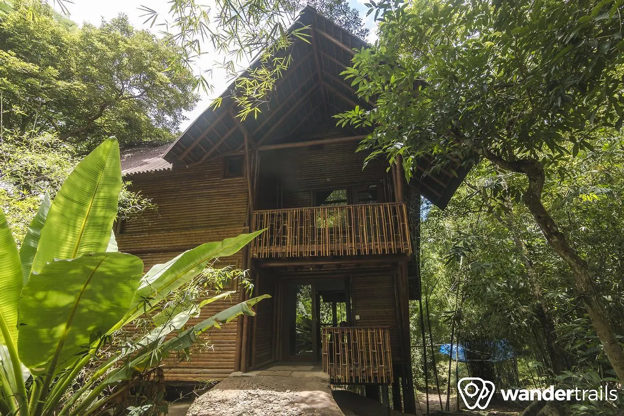 Uravu Bamboo Grove - A Wandertrails Showcase location