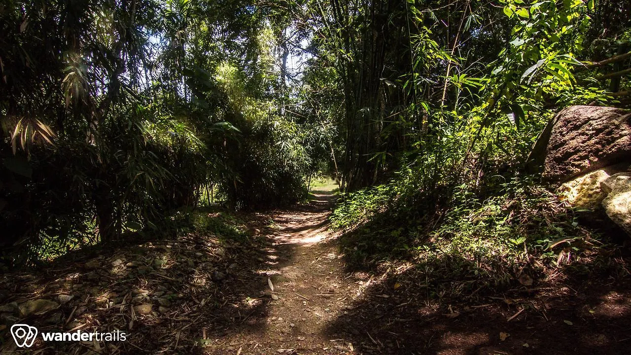 Uravu Bamboo Grove A Wandertrails Showcase Hotel Kalpetta India